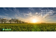 무대(성구)